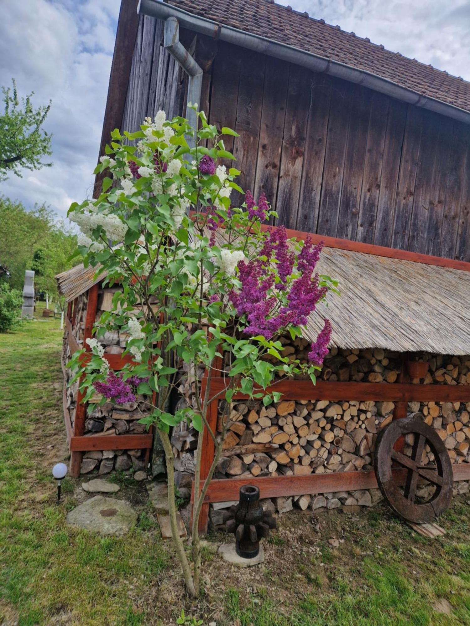Casa Hariton Villa Dragus Eksteriør billede