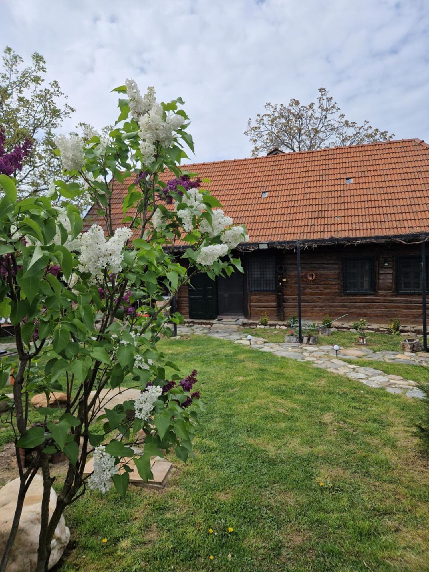 Casa Hariton Villa Dragus Eksteriør billede